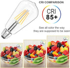Ralbay ST64 Vintage LED Edison Bulbs 10 Pack, 60W Equivalent, Warm White 2700K, Clear Glass E26 Medium Base