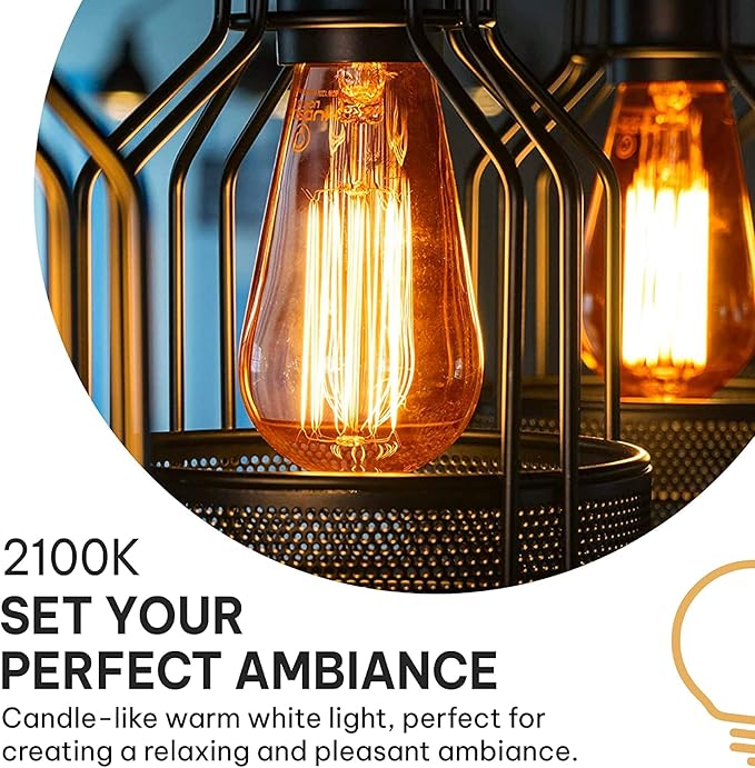 Hudson Vintage Incandescent Edison Decorative Light Bulbs 4-Pack - 60W, 2100K Dimmable, E26/E27 ST64 Warm Antique Squirrel Filament Amber for Indoor Outdoor - Lightbulb - Outdoor Light