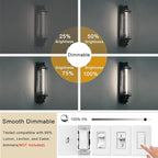 11.8IN 1000LM 5000K Daylight White Light Bulbs E26 Base, T10 T9 Edison Bulbs Dimmable 8W, AC 120V 100 Watt Equal Filament Bulb, Vintage Clear Glass Long Tubular LED Bulb, UL Listed - 2Pack