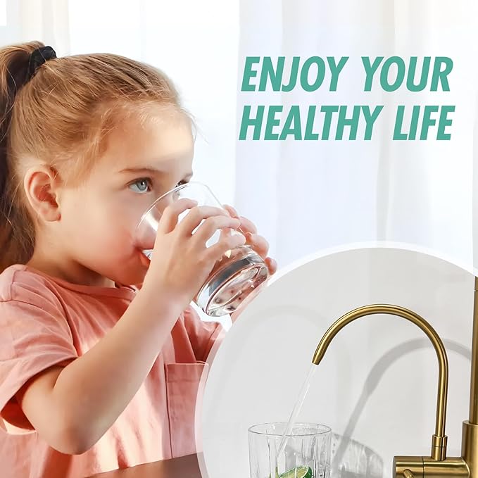 Fapully Brushed Gold Commercial Kitchen Faucet with Pull Down Sprayer and Water Filter,3 in 1 Kitchen Faucets with Drinking Water Faucet