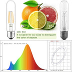 5 Inch Edison Bulb, 6000K Cool White E26 Led Bulb 6W Dimmable, 800LM T10 T9 Bulb Clear Glass Tubular Light Bulbs, AC 120V Equal 80 Watt Bulbs for Chandelier Pendant Wall Light - 6Pack