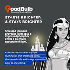 GoodBulb 42 Watt CFL Light Bulbs 4 Pin GX24Q-4 Base 5000K Daylight 42W High Output 3200 Lumens Triple Tube Compact Fluorescent Light Bulbs Plug-in 10 Pack