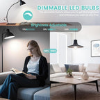 Brightever Edison Bulbs 60W Equivalent, 4000K Natural White Dimmable LED Light Bulb, 7W, 850LM Vintage E26 Light Bulb, 90+CRI, ST58 Clear Glass Antique Decor LED Filament Bulbs for Bedroom, 10 Pack