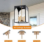 VINLUZ Outdoor 4 Lights in Black and Brushed Brass Finish, Metal Indoor Outdoor Pendant Hanging Lantern Lighting with Clear Glass Shade for Balcony Dining Room
