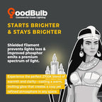 GoodBulb 18 Watt CFL Light Bulbs 2 Pin G24D-2 Base 2700K Soft White 18W High Output 1200 Lumens Double Tube Compact Fluorescent Light Bulbs Plug-in 10 Pack