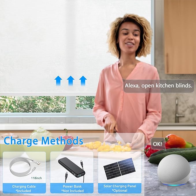 Motorized Blinds with Remote Cordless Automatic Motorized Shades Custom Blinds for Windows Smart Curtains Compatible with Alexa Google Home(Light Filtering Jacquard White,W20 x H72in)