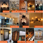 LiteHistory Dimmable E26 Light Bulb 6W Equal 60 watt led Light Bulb AC120V Warm White 2700K Edison 60 Watt 600LM T10 Bulb for Rustic Pendant,Industrial Pipe,Wall sconces,Vanity 6Pack