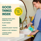 Aunt Fannie's All Purpose Household Cleaner, Multi-surface Spray, Powered by Vinegar for Kitchen, Bath, Windows and Countertops, Lemon Scent (Refill)