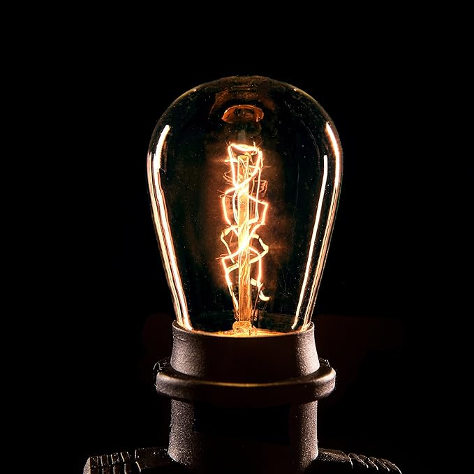 Hometown Evolution, Inc. 100' E26 Commercial Edison Bulb Outdoor String Lights (100 Foot 50 Socket, S14 Zig Zag Edison 11 Watt Light Bulbs)