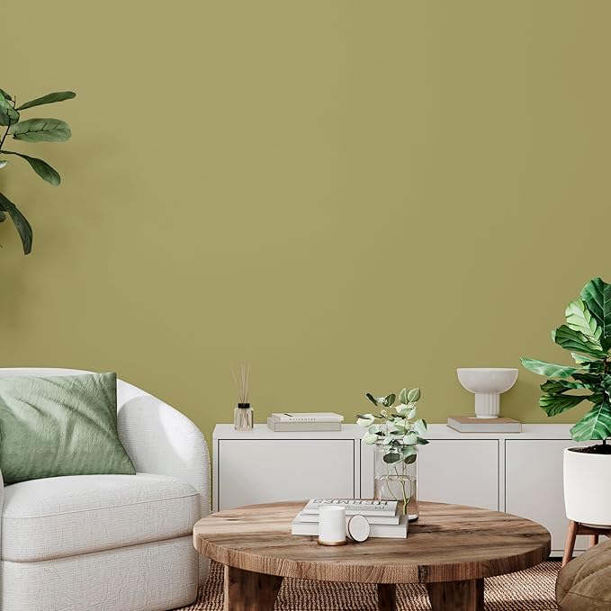 Rust-Oleum Color Spark Interior Paint and Primer in One, Matte, Wasabi Root, 1 Gallon