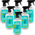 Aunt Fannie's All Purpose Household Cleaner, Multi-surface Spray, Powered by Vinegar for Kitchen, Bath, Windows and Countertops, Eucalyptus Scent (Pack of 6)