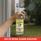 Rebel Green Sparkling Glass Cleaner (Peppermint & Lemon, 80 Fl Oz (Pack of 2))