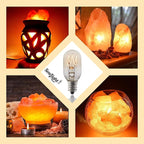 Salt Lamp Bulb -15 Watt Replacement Bulbs for Himalayan Salt Lamp & Baskets, Scentsy Plug-in & Wax Warmers, Night Lights. T20 E12 Socket with Candelabra Base, Clear, 8 Pack