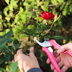 Fiskars Floral Pruning Shears, Gardening Gifts for Women, Plant Cutting Scissors for Deadheading, Rose Petal Pink