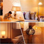 dalattin A19 Vintage LED Edison Bulbs, 60W Equivalent Light Bulbs, 2700K Soft White, Clear Glass Filament Bulb, Efficient 8W, E26 Base, 800 LM, CRI80+, Non-Dimmable for Home, Farmhouse, 12 Pack