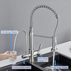MENATT Purifier Kitchen Faucet, Commercial 3 in 1 Spring Drinking Water Faucet, Pull Down Water Filter Kitchen Sink Faucets (Brushed Nickel)