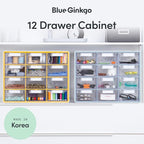 Blue Ginkgo Large 12-Drawer Cabinet – Stackable Clear Organizer for Hardware, Beads, Plastic Bricks, Office, and Craft Storage (Made in Korea, Blue)