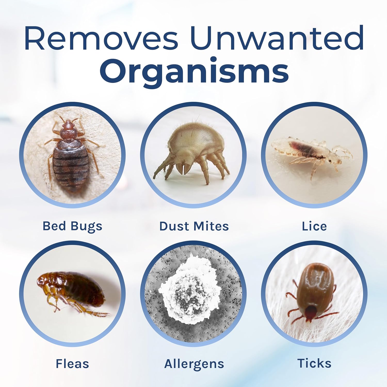 Spotless Essentials-Indoor Pest Control & Surface Cleaner for Home Concentrated Gallon-Eliminates Ant, Dust Mite, Bed Bug, Flea, Bug - Pet and Family Friendly- Laundry Fresh Scent-Makes 16 Gallons