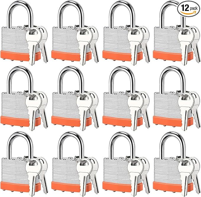 12pcs Solid Keyed Alike Padlock with 24 Same Keys & Short Hardened Shackle -Resist Cutting, Gym Locker Lock with Key, Storage Pad Lock for Locker Gym Gate Outdoor Use (Short)