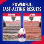 30 SECONDS Pressure Washer Concentrated Cleaner – Power Cleans Stains from Algae, Mold & Mildew, Dirt, Grime – Makes up to 20 Gallons, 2 PACK