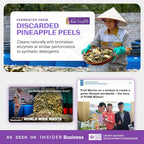 Fuwa3e Pineapple Enzyme Natural All Purpose Cleaner Spray Serene Holy Basil & Peppermint - 16.9oz 1 Pack - Non Toxic Multi Surface 99% Plant Based Cleaner from Discarded Pineapple Peels