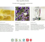 Sonett Organic Floor Cleaner -Protects waxed, oiled and varnished floors with a natural wax film without build-up. For tiles stone wood cork parquets laminates linoleum and plastics (17 fl. oz.)