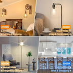 Vintage LED Edison Bulbs 60 Watt Equivalent Dimmable 7W ST58 LED Filament Light Bulbs Soft White 2700K Antique Style Lighting High Brightness 800LM E26 Medium Base Clear Glass for Home Office, 12 Pack