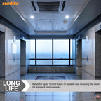 Sunlite CFL Plug-in PLT 4-Pin Triple Tube Light, 32 Watts, 4-Pin GX24q3 Base, 2400 Lumens, 6500K Daylight, 10 Pack