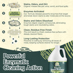 Enzyme Carpet Cleaner - Enzyme Carpet Shampoo (1gal) - Carpet Cleaner Solution to Eliminate Tough Stains & Neutralize Odors - Removes Dog, Cat, All Pets Urine- Use with All Machines