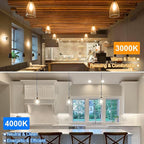 24-Pack Vintage LED Edison Bulbs 60 Watt Equivalent Dimmable 7W ST58 LED Filament Light Bulbs Warm White 3000K Antique Style Lighting High Brightness 800LM E26 Medium Base Clear Glass for Home Office