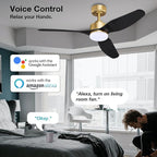 48 Inch Smart Ceiling Fans with LED Lights Remote,Quiet DC Motor,Dimmable,Outdoor Indoor Gold Black Ceiling Fan Controlled by WIFI Alexa App,for Modern Bedroom Living Room Patio Porch