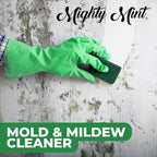 Mighty Mint Mold & Mildew Stain Remover Spray, Rapid Clean for Bathroom, Kitchen, Hard Water, Outdoors, Natural Peppermint Scent, 16oz