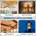 12 Pack - T6 Tubular Light Bulb - Clear 25 Watt - E12 Candelabra Base Dimmable - Warm White Light 180 Lumens E12 Candelabra Base