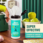 Aunt Fannie's Bundle: All Purpose Vinegar Cleaning Spray (Eucalyptus) + Vinegar Cleaning Wipes (Eucalyptus)