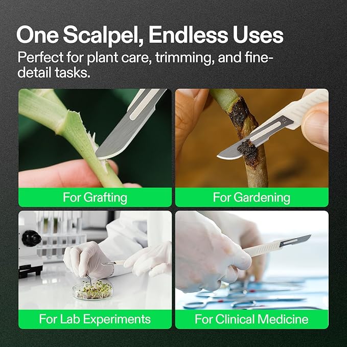 VIVOSUN #10 High-Carbon Steel Blades for Cutting Plants and Propagation