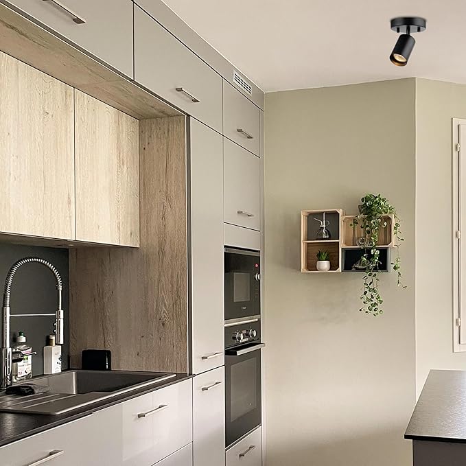 GLOBE Electric 57498 Pratt 1-Light Track Lighting Spotlight, Matte Black, Bulb Not Included