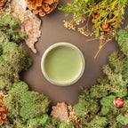 Dixie Belle Paint Company Weeping Willow Chalk Mineral Paint - Size: 1 Gallon (128 oz.) – Matte Chic Chalk Mineral DIY Furniture Paint