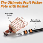 Fruit Picker Pole with Basket Telescoping 5-24 ft Apple Picker Extension Pole // Telescopic Fruit Tree Picker Tool for Picking Orange Mango Avocado Lemon Pear // The Ultimate High-Reach Fruit Grabber