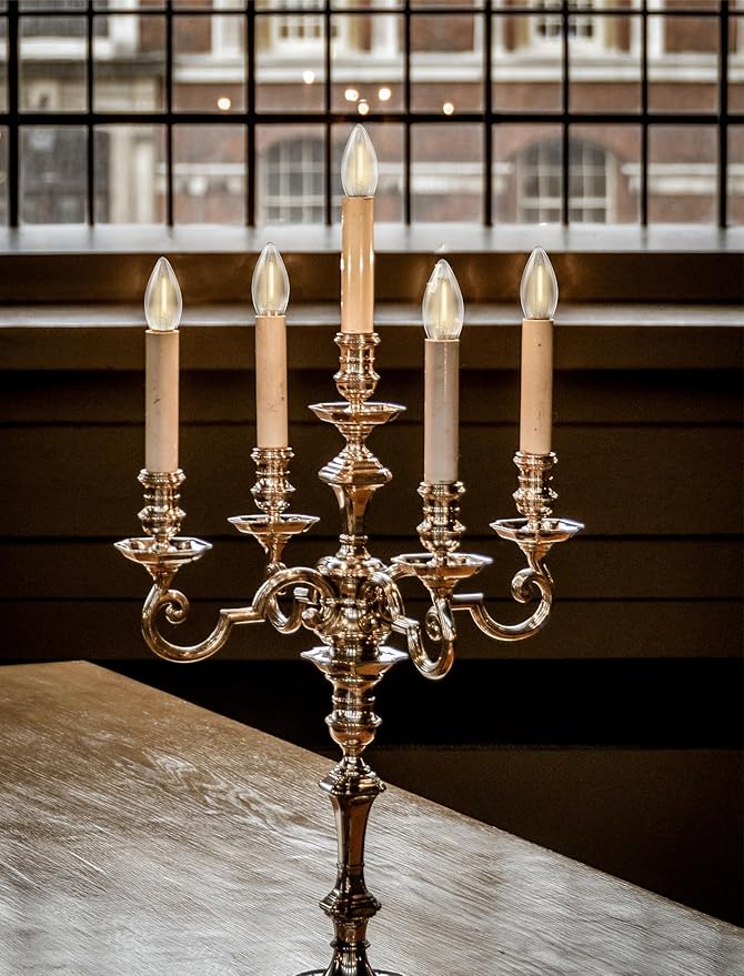 C26 LED Replacement Bulbs, 25 Pack Electric Candle Lamp Light Bulbs, E12 Candelabra Bulb for Window Candles, Chandeliers, Ceiling Fan, Night Light, 2700K Warm White