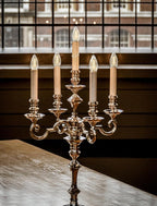 C26 LED Replacement Bulbs, 25 Pack Electric Candle Lamp Light Bulbs, E12 Candelabra Bulb for Window Candles, Chandeliers, Ceiling Fan, Night Light, 2700K Warm White