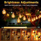 G40 Replacement Light Bulbs 120V 5W Clear Globe E12 Replacement Bulbs for Outdoor String Lights Dimmable Incadescent Bulbs for Indoor Outdoor Patio Decor,Pack of 25