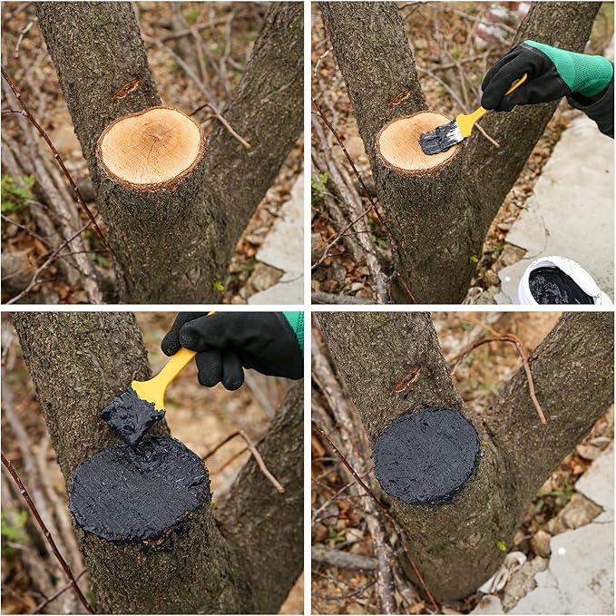Tree Pruning Sealer with Brushes/Gloves, 500G Tree Wound Dressing Ready-to-Use Tree Protective Seal for Trees, Shrubs, Roses