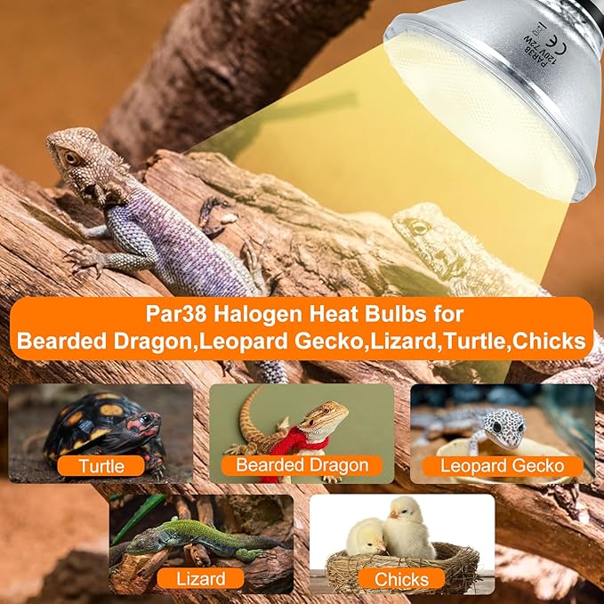 Halogen PAR38 Flood Light Bulbs 72W 120V, Dimmable Par38 Halogen Light E26 Base Bulbs Warm White 2800K 3420 Lumens for Indoor and Outdoor Floodlight, Reptile Heat Bulbs, 2-Pack