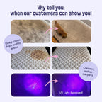 Sunny & Honey Carpet Cleaner Solution - 32 Fl Oz, Light Lavender - Deep Stain Remover & Odor Deodorizer - Pet Carpet Cleaner & Rug Shampoo