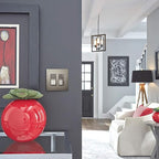 Legrand - Pass & Seymour 15 Amp Light Switch with Rocker Wall Switch, Nickel Single Pole Rocker Light Switch, TM870NICC10, 1 Count (Pack of 2)