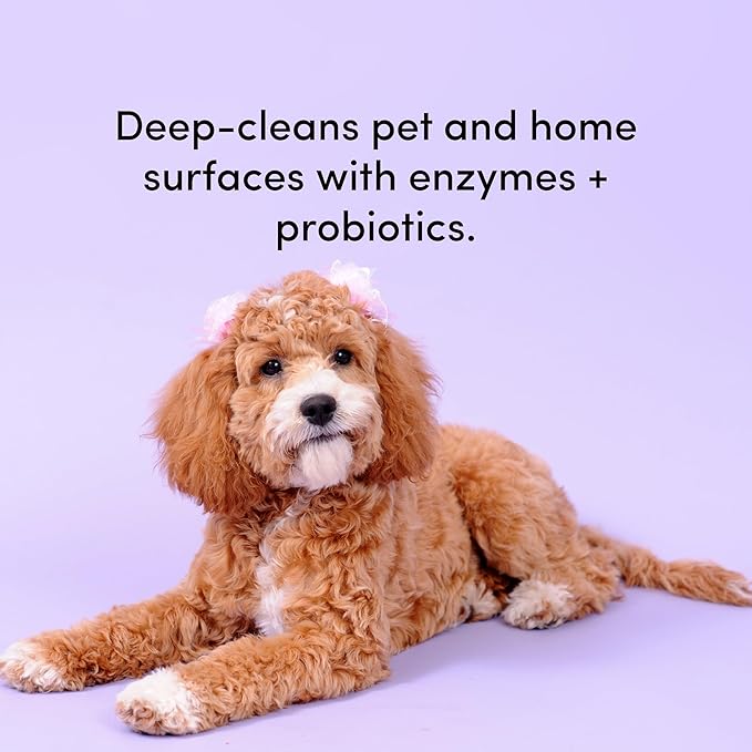 Clean Revolution SuperCharged Multi Surface Cleaner Refill Supply, Non-Toxic, Eco-Friendly & Plant-Based, Ready to Use, Seaside Lavender, 18 oz (Pack of 1)