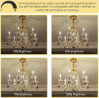 Potanro E12 Incandescent Light Bulbs 40Watt Warm White 2700K, 300 Lumens Candelabra Light Bulbs Decorative Dimmable Chandelier Bulbs for Ceiling Fan, Pendants (40W-20Pack)