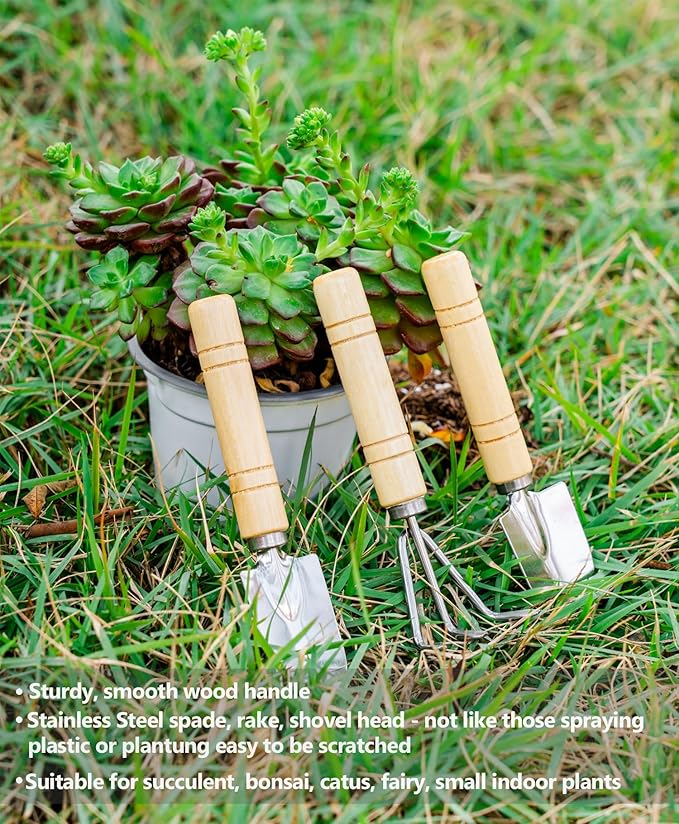 Josteve 5Pcs Succulent Tools Mini Garden Small Gardening Tools Indoor, Pruning Shear Gardening Scissors, Hand kit for Bonsai, Cactus, Fairy, Houseplant of Transplanting, Repotting, Seedling Soil