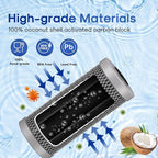 ICEPURE 5 Micron 4.5" x 10" CTO10BB-CQB Whole House Water Filter Upgraded Coconut Shell Activated Carbon Lead Removal Water Filter Replacement for Home, 2PACK