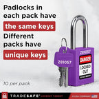 TRADESAFE Lockout Tagout Locks Set - 10 Purple Keyed Alike Padlocks, 2 Keys Per Lock, OSHA Compliant Loto Locks for Lock Out Tag Out Stations, Premium Grade